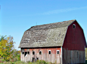 photo by Sandra Heska King (used with permission)