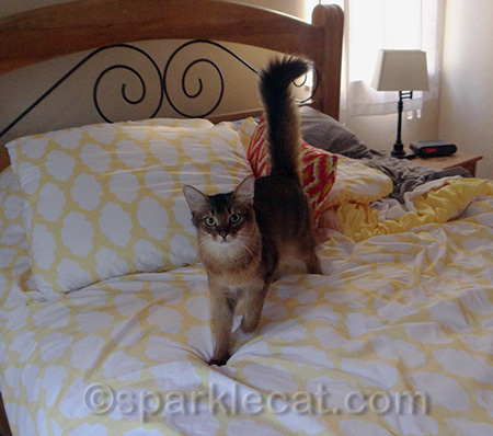 Here I am, testing the mattress