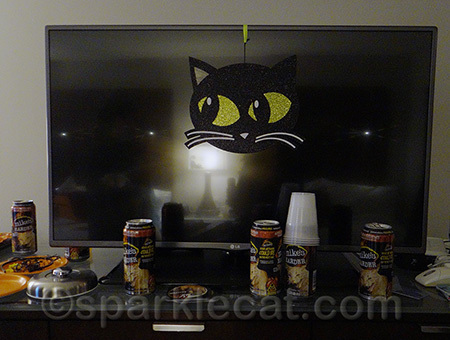 How come there were no cat videos on the TV?