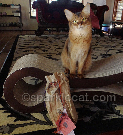 This was so generous of Amy!