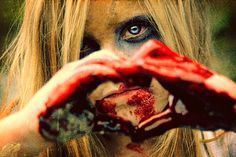 thesearchforthelastflower