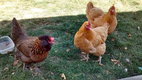  photo IMG_20140905_123509387_HDR.jpg