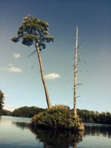 TwoTreeIslandRainbow