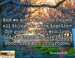 romans8-28