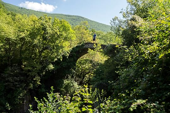 Gari and the Deer Leap Bridge