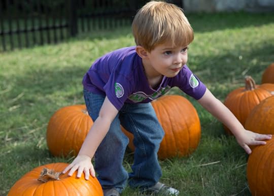 fall fun at pumpkin patch
