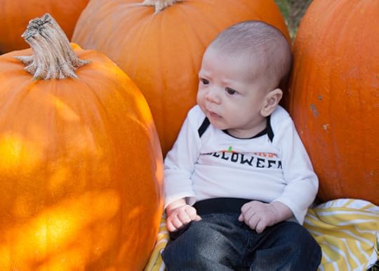 pumpkin patch fall fun