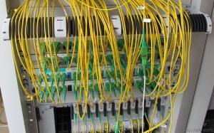 fiber