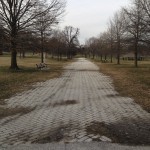 This is a path in Patterson Park, headed north. The area under the tree on the left, where the two benches are located, is in the book—the scene of an important violent event. The park slopes downhill to the sharp right. Hampstead hill is forward and to the left.
