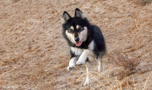 run to me hill crop