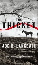 The Thicket by Joe R. Lansdale