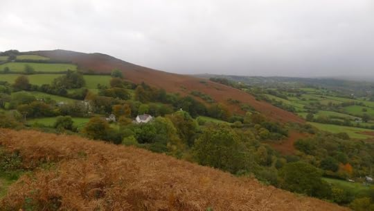 Meldon Hill viewed from Nattadon Hill