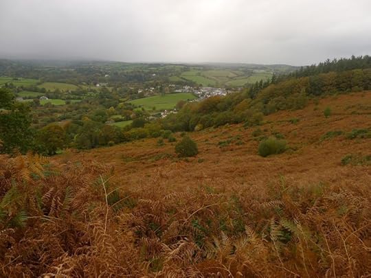 Chagford viewed from Nattadon Hill