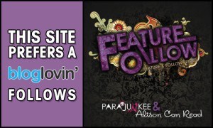 bloglovin-300x180