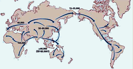 Dopamine 7 and 2 human_migration