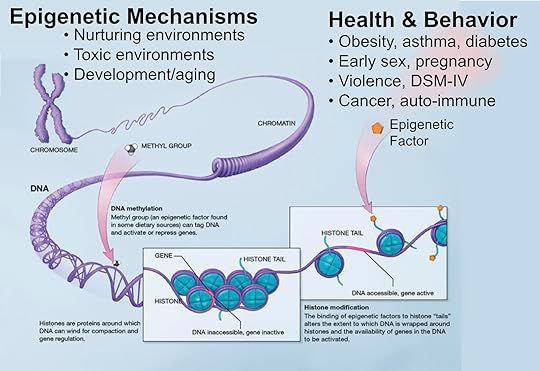 Epigenetic Mechanisms Enhanced