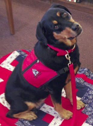 Lulu the reading therapy dog