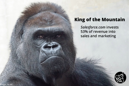 SBQ-Marketing-percentage-of-Revenue