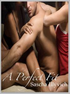 A Perfectd Fit COVER