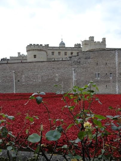 Blog - poppies3