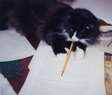 Musetta