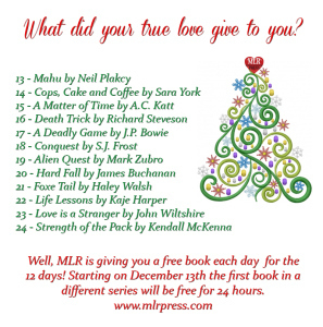 12_days_Christmas_2014