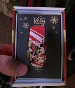 MagicBand via Marc Lorenzo (@marcmantoo)