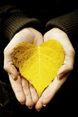 hands holding heart-shaped leaves