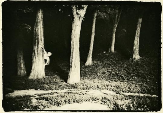 Shilo_Group_Timoschenko's_Escape_2