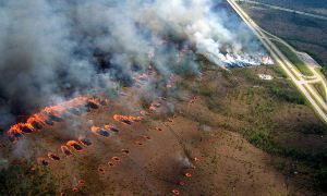 Ignition pattern, prescribed burn