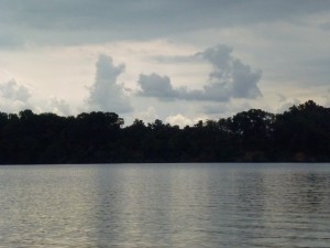 P1030613