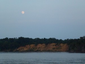 P1030382