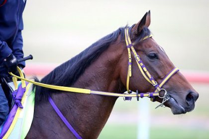 Admire Rakti