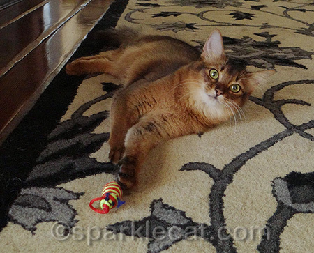 Actually I DO spend hours tossing this mouse around