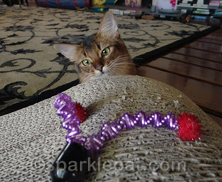 Don't worry - I will kill this vicious toy!