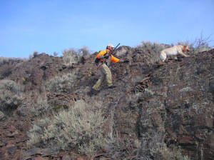 Matt Lucia and Darby scale a rock face in search of chukars