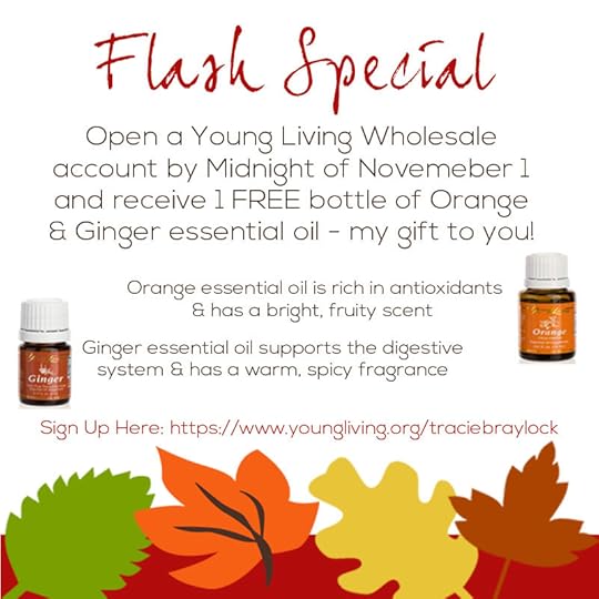 Flash Special November