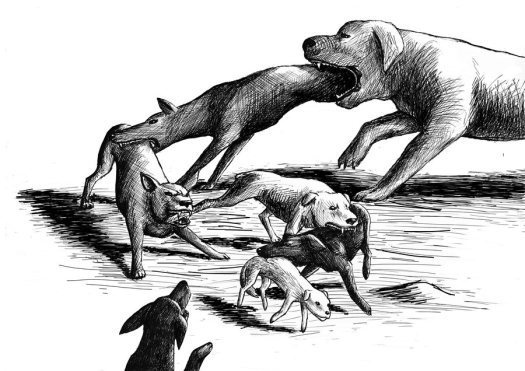 dog_eat_dog_world_by_nerafinuota-d4put1r