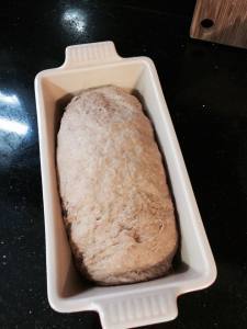 10696258_10100337851724410_5024824350545327043_n