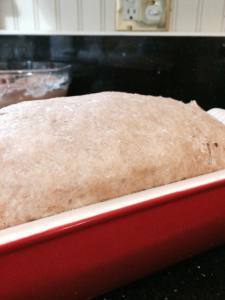 10734209_10100337879403940_3909039255806329963_n