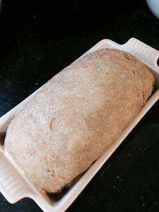 10731210_10100337879428890_6559211185417376341_n