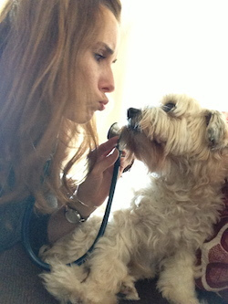 Dr Macartney examining Scooter