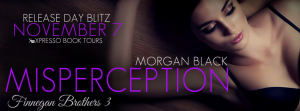 MisperceptionBlitzBanner1