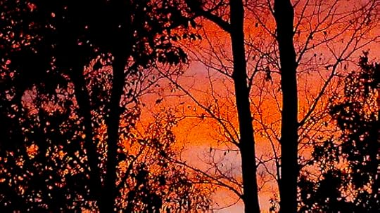 Currin-Sky-2