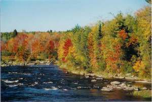 riverfall
