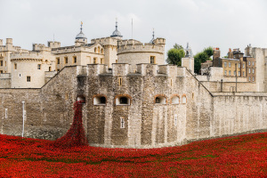 Red Ceramic Poppies at the Tower of London