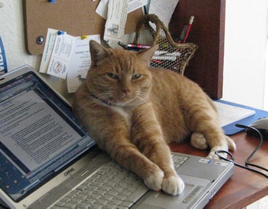 Harvey 10 helping type minutes (640x499)