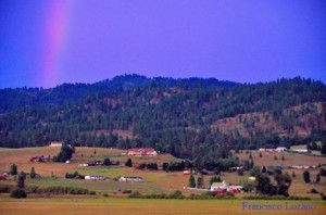 God's Beautiful Creation!