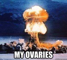  photo 1921957_10152679650111562_1101343311_n.jpg