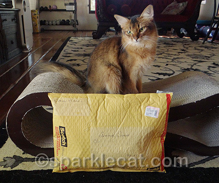 I didn't have to wear a costume to accept my prize!
